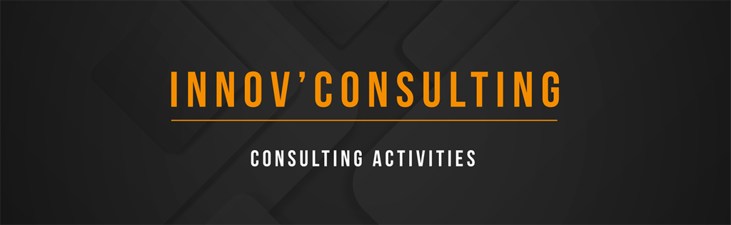 Innov’Consulting - Consulting Activities